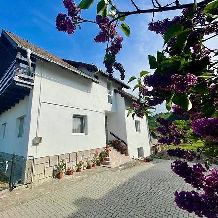 Casuta Cu Dumbrava Daire Bran  Dış mekan fotoğraf
