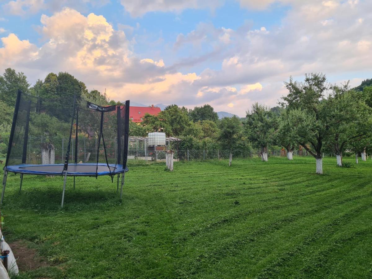 Casuta Cu Dumbrava Daire Bran  Dış mekan fotoğraf