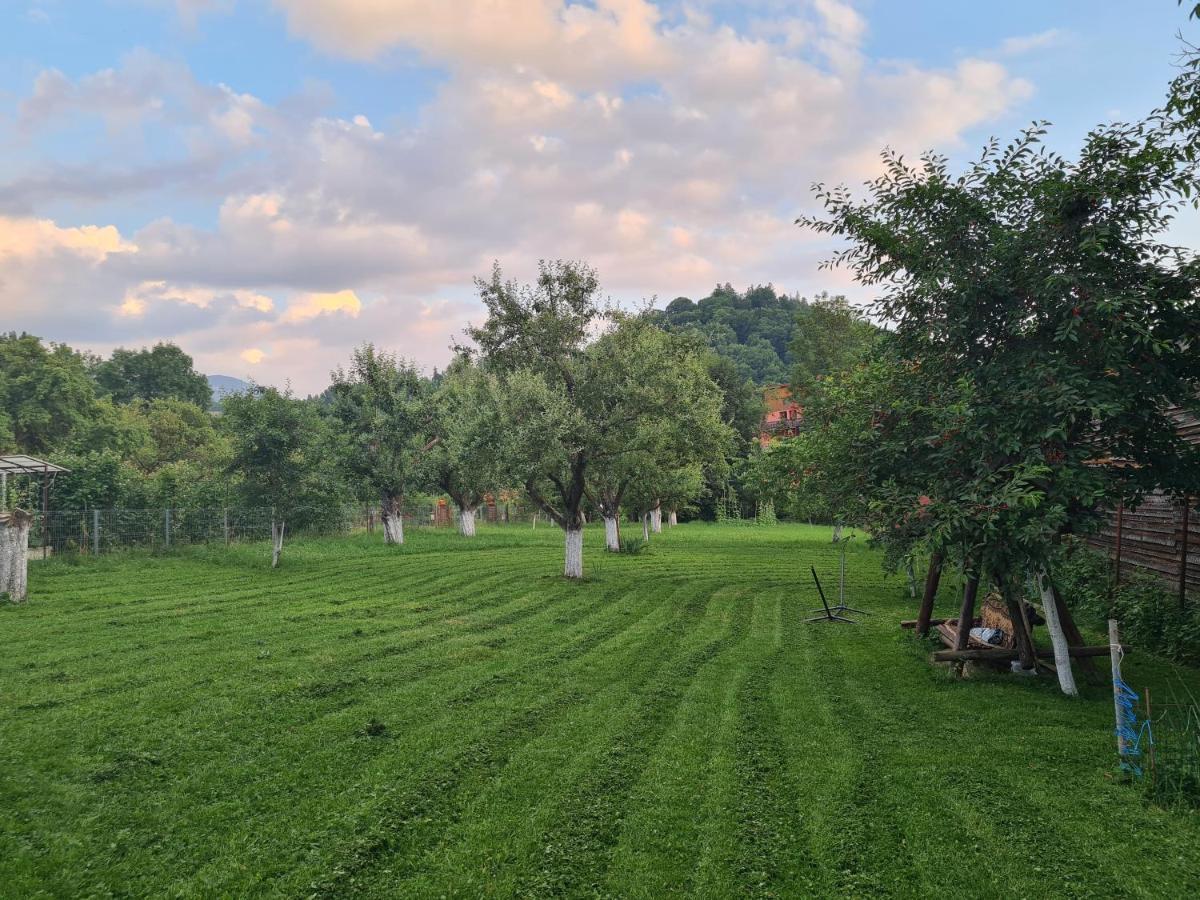 Casuta Cu Dumbrava Daire Bran  Dış mekan fotoğraf