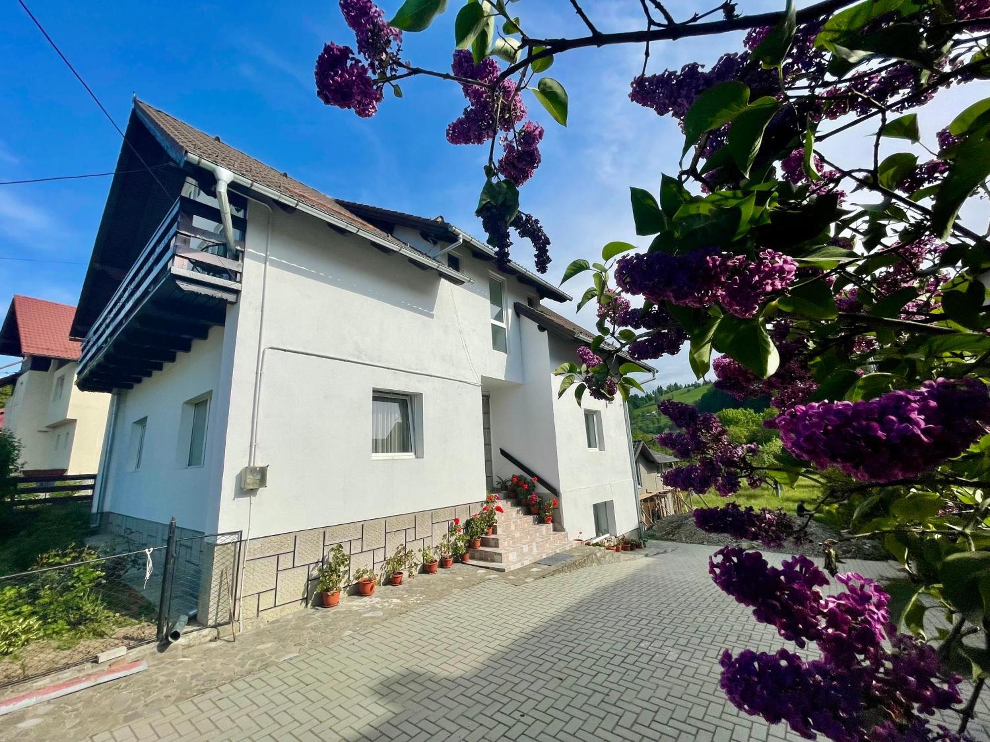 Casuta Cu Dumbrava Daire Bran  Dış mekan fotoğraf