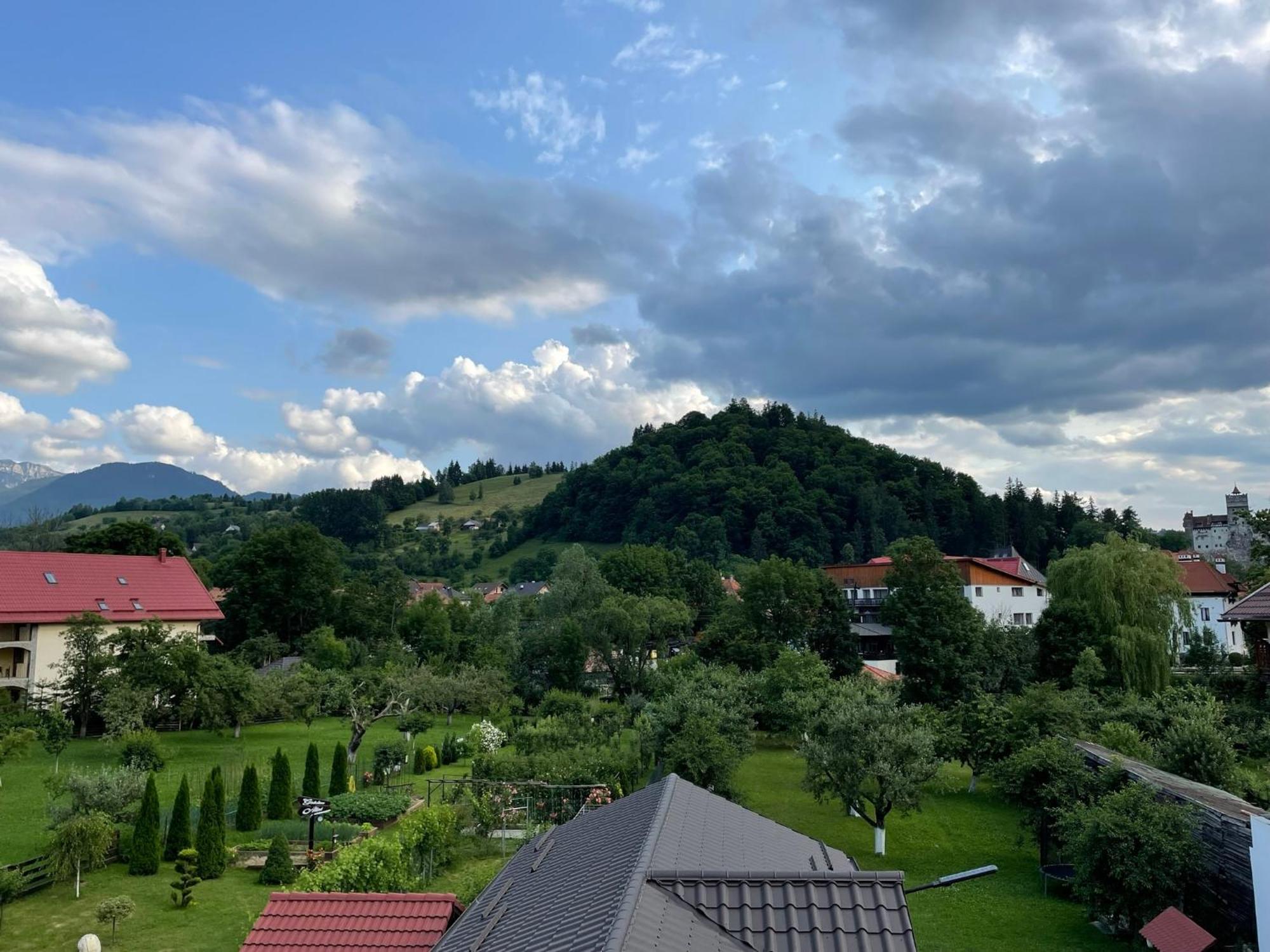 Casuta Cu Dumbrava Daire Bran  Dış mekan fotoğraf