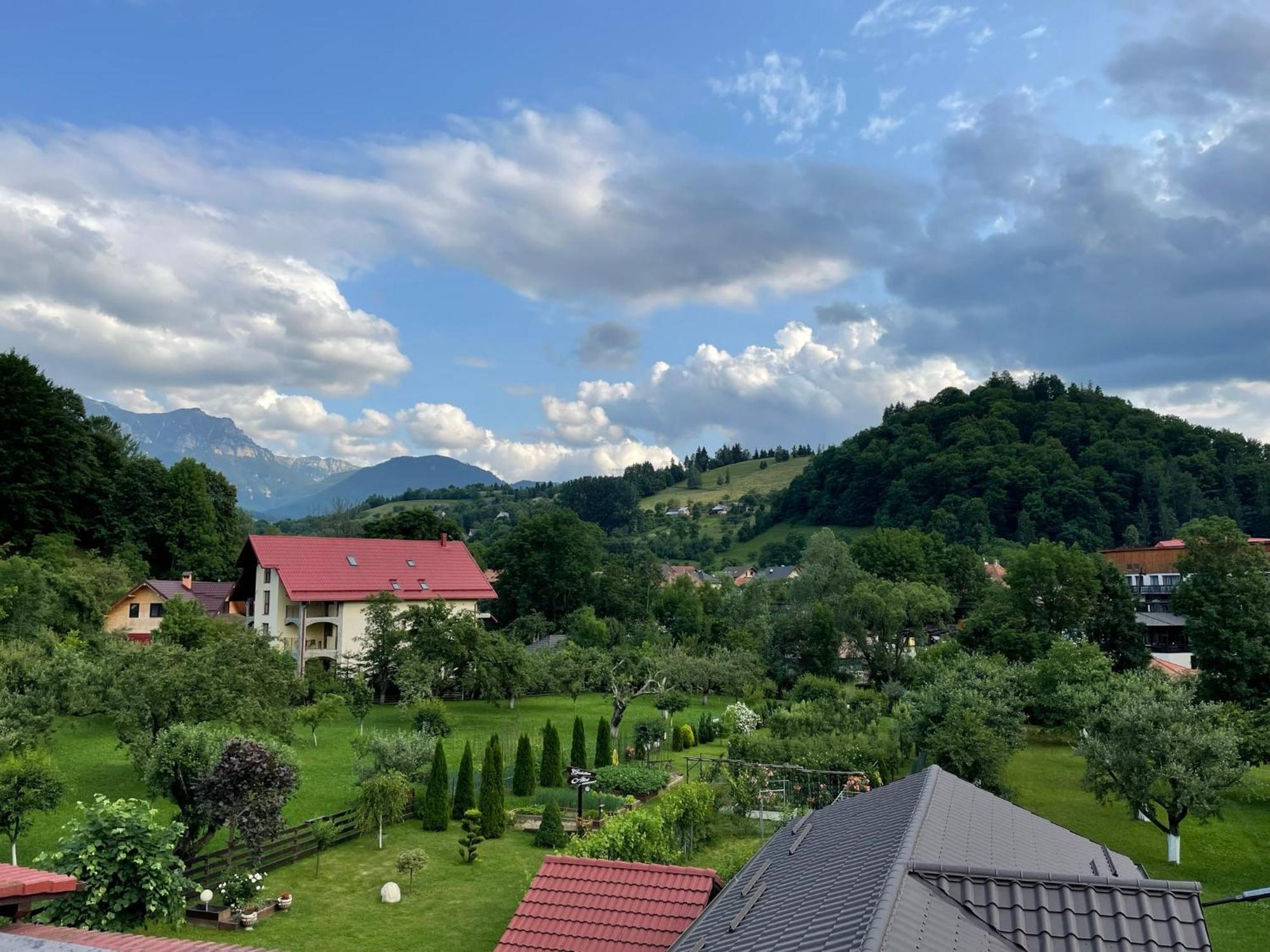 Casuta Cu Dumbrava Daire Bran  Dış mekan fotoğraf