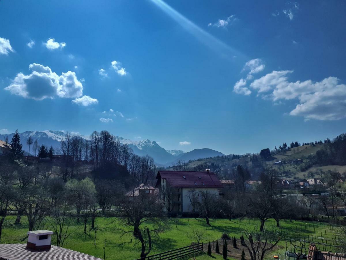 Casuta Cu Dumbrava Daire Bran  Dış mekan fotoğraf